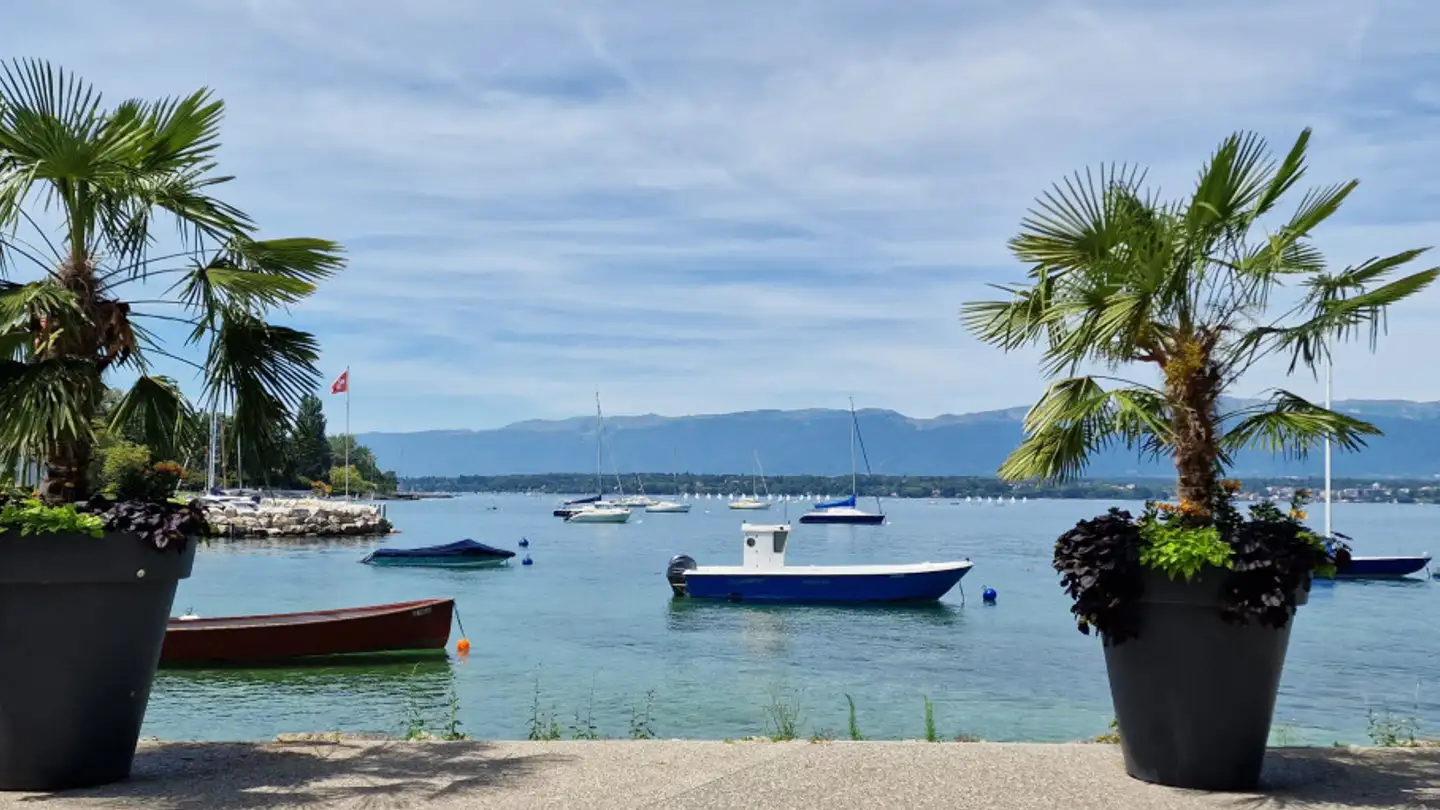 Maison individuelle à vendre - 1245 Collonge-Bellerive