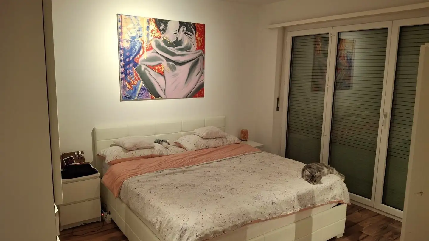 Casa singola in affitto - 6600 Locarno - Photo 4