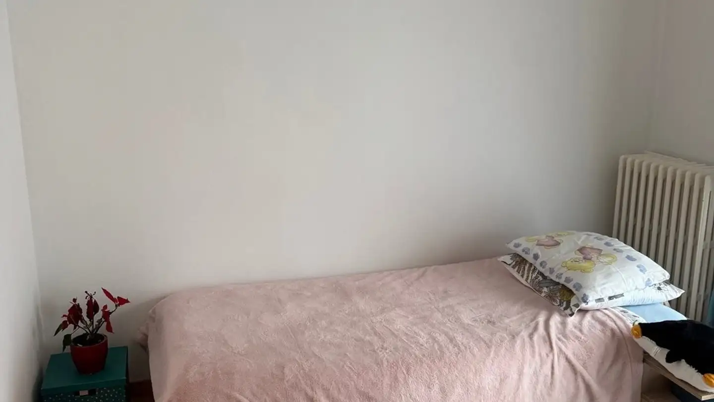 Chambre à louer - 1006 Lausanne - Photo 2