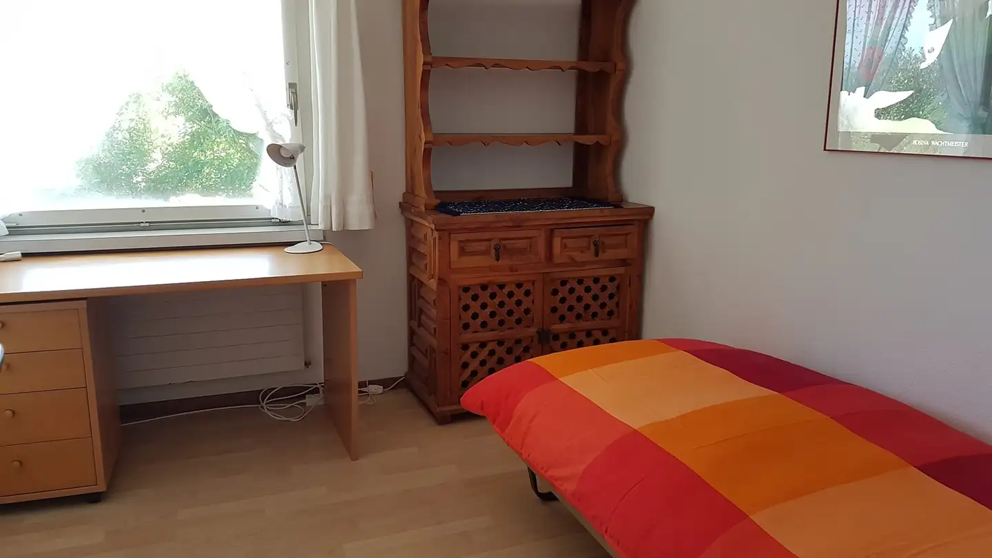 Single room for rent - Drusbergstrasse 2, 8820 Wädenswil