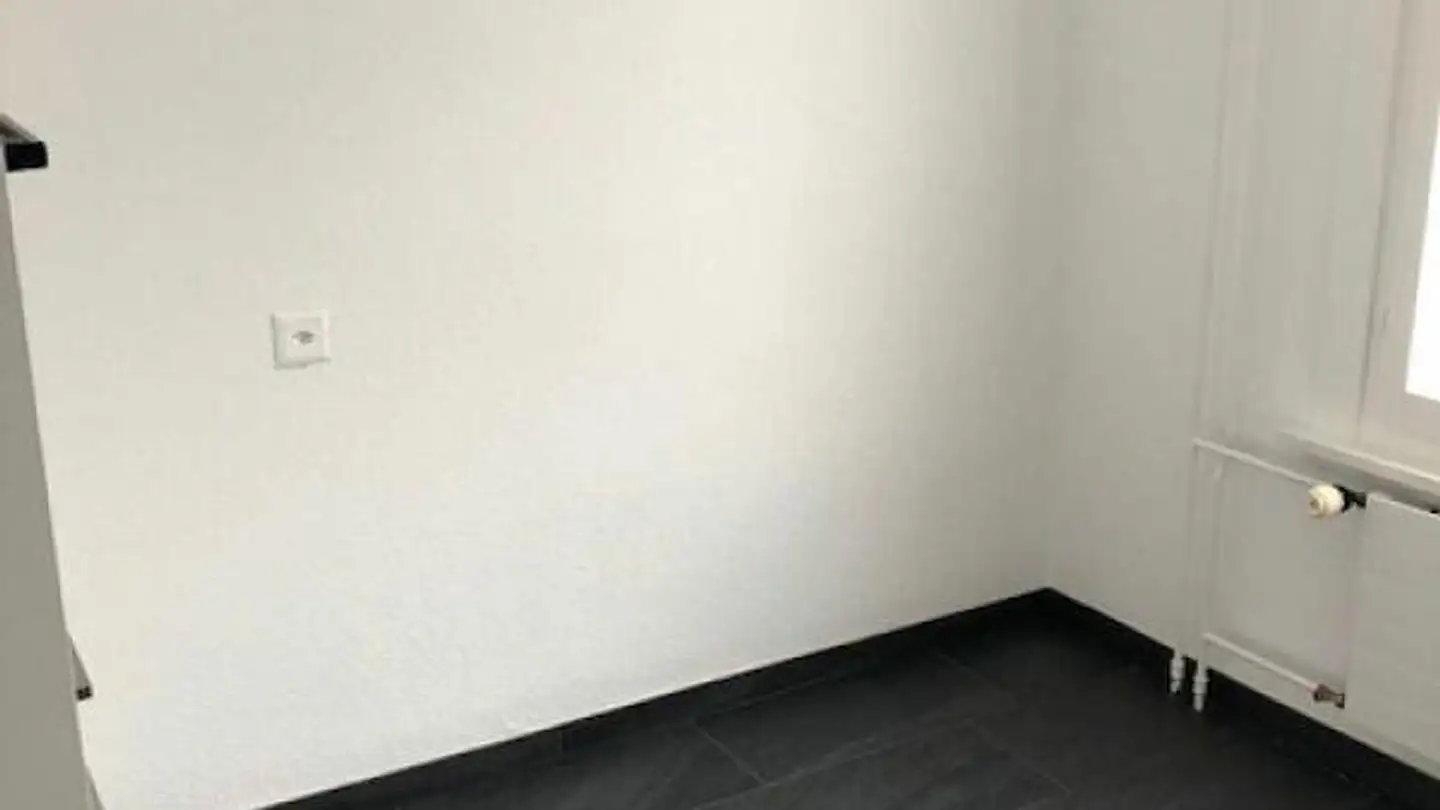 Appartamento in affitto - Alpsteinstrasse 14a, 9100 Herisau - Foto 4