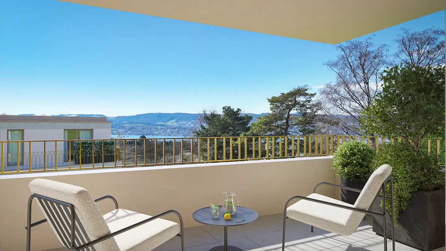 Appartamento in vendita - Drusbergstrasse 102, 8053 Zürich