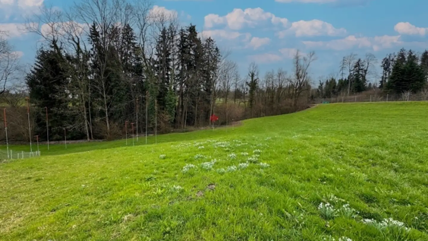 Appartamento in vendita - Landquart, 9305 Berg SG