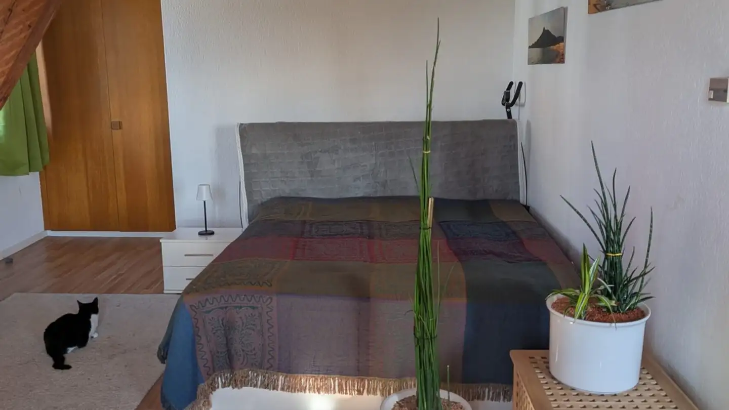 Apartment for rent - Weissensteinstrasse 100, 4515 Oberdorf SO - Photo 4