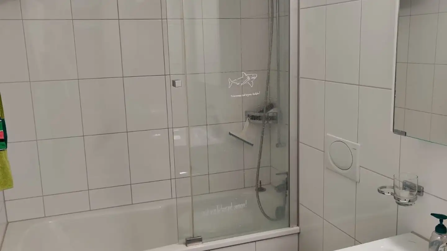 Chambre à louer - Voltastrasse 20, 6005 Luzern - Photo 4