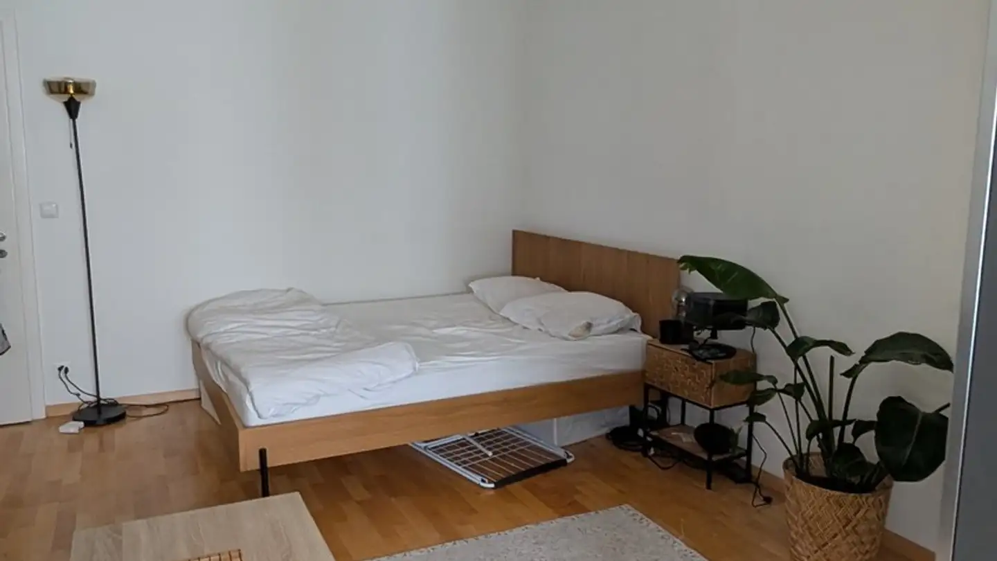 Furnished apartment for rent - Verena-Conzett-Strasse 20, 8004 Zürich - Photo 4