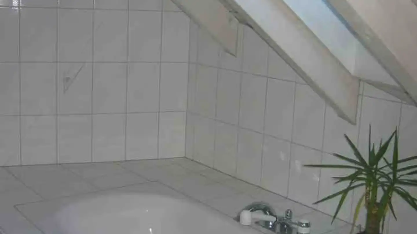 Wohnung mieten - Weinmatten 12, 5632 Buttwil - Foto 3