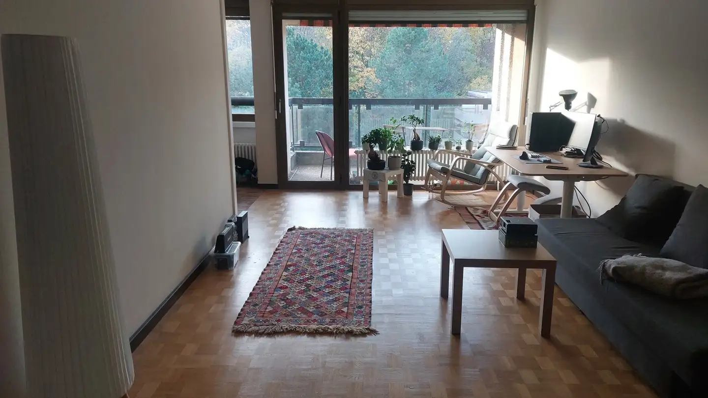 Appartamento in affitto - Chemin Du Stand 17, 1024 Ecublens VD - Foto 4