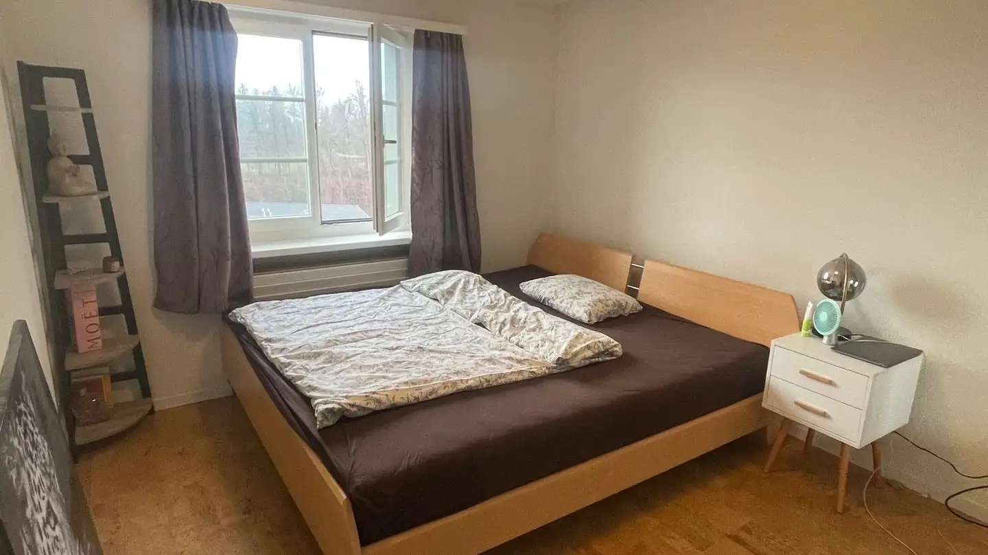 Attic flat for rent - Sunnehalde 4, 8634 Hombrechtikon - Photo 4