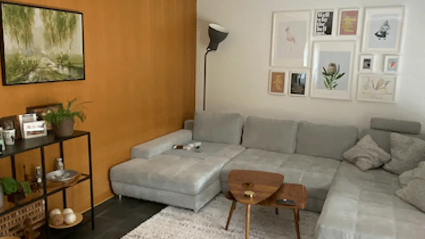 Appartamento ammobiliato in affitto - Frauentalweg, 8045 Zürich - Foto 3