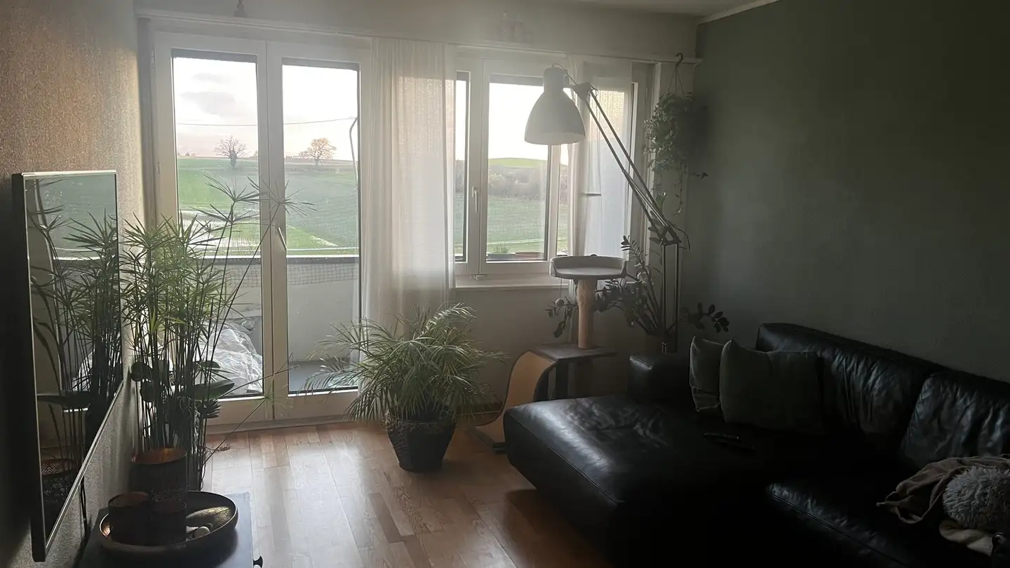 Appartamento in affitto - 3053 Münchenbuchsee - Foto 2