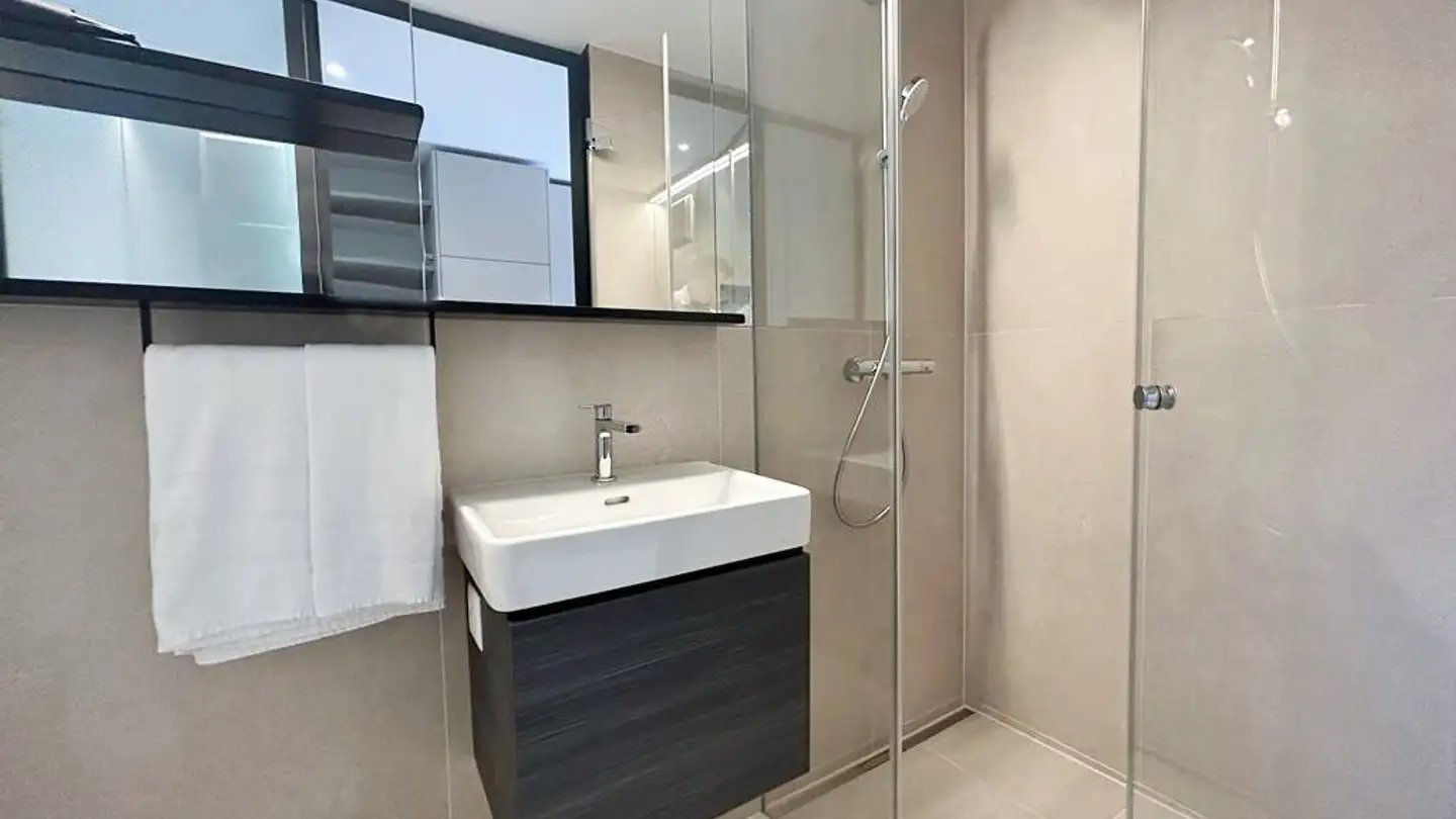 Furnished apartment for rent - Glattalstrasse 175, 8153 Rümlang - Photo 3