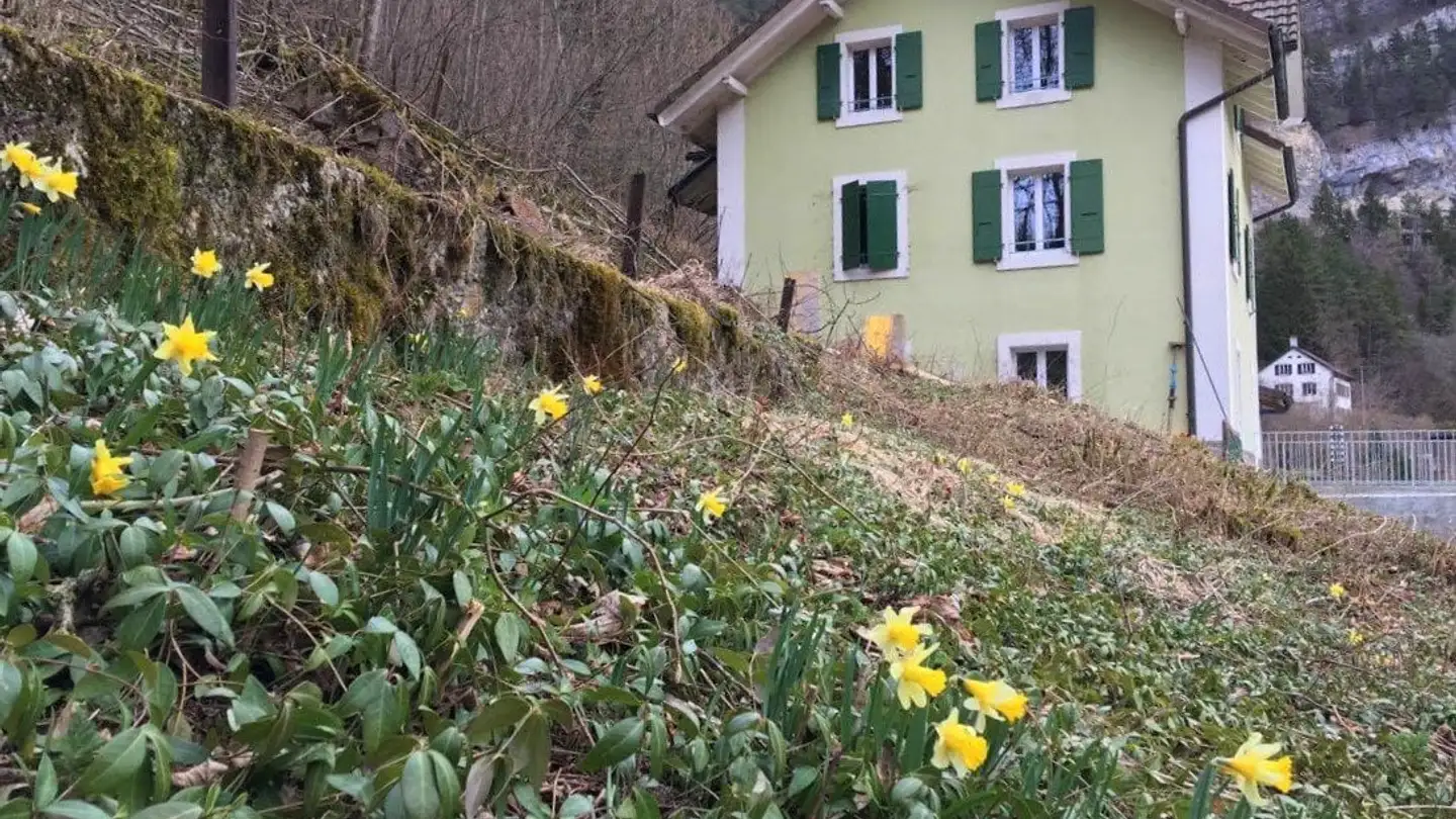 Appartamento in affitto - Rue Du Temple 3, 2103 Noiraigue