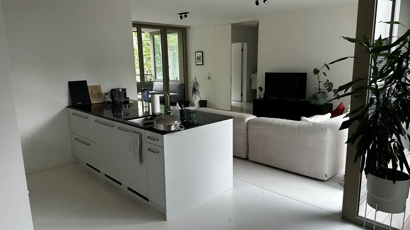 Chambre à louer - Limmatstrasse 73, 8005 Zürich