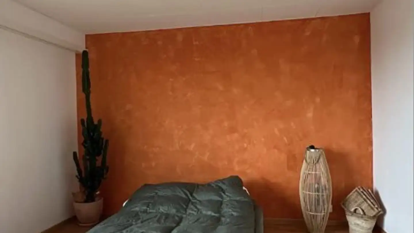 Penthouse for rent - 4055 Basel - Photo 4