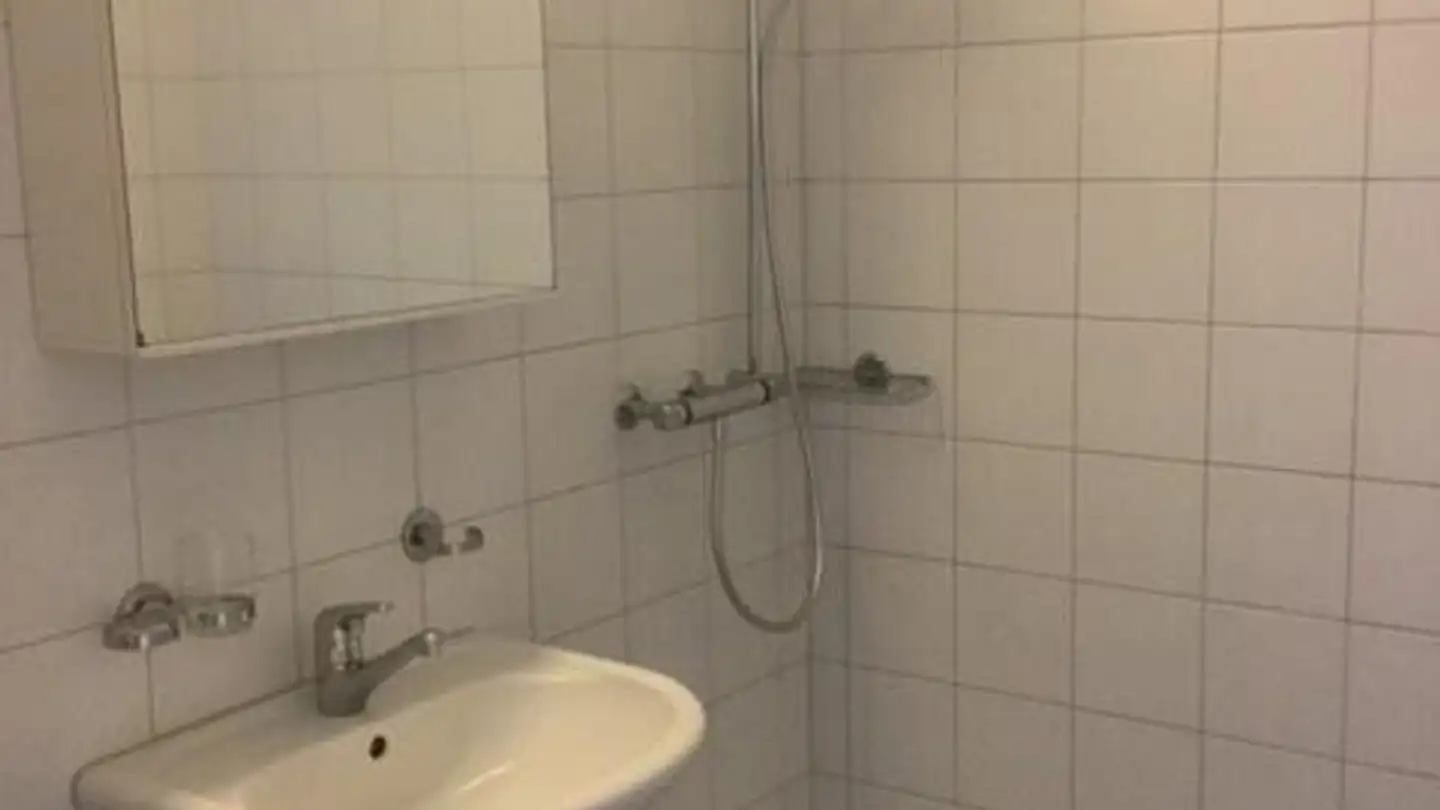 Apartment for rent - Schaffhauserstrasse 476b, 8052 Zürich - Photo 4