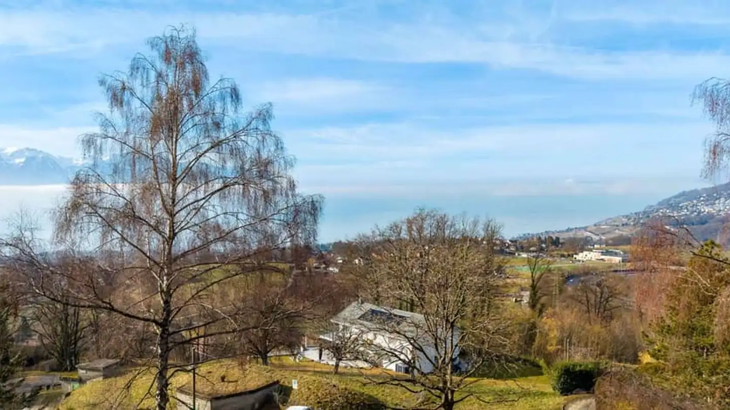 Single house for sale - Chemin De La Chiésaz, 1806 St-Légier-La Chiésaz - Photo 2