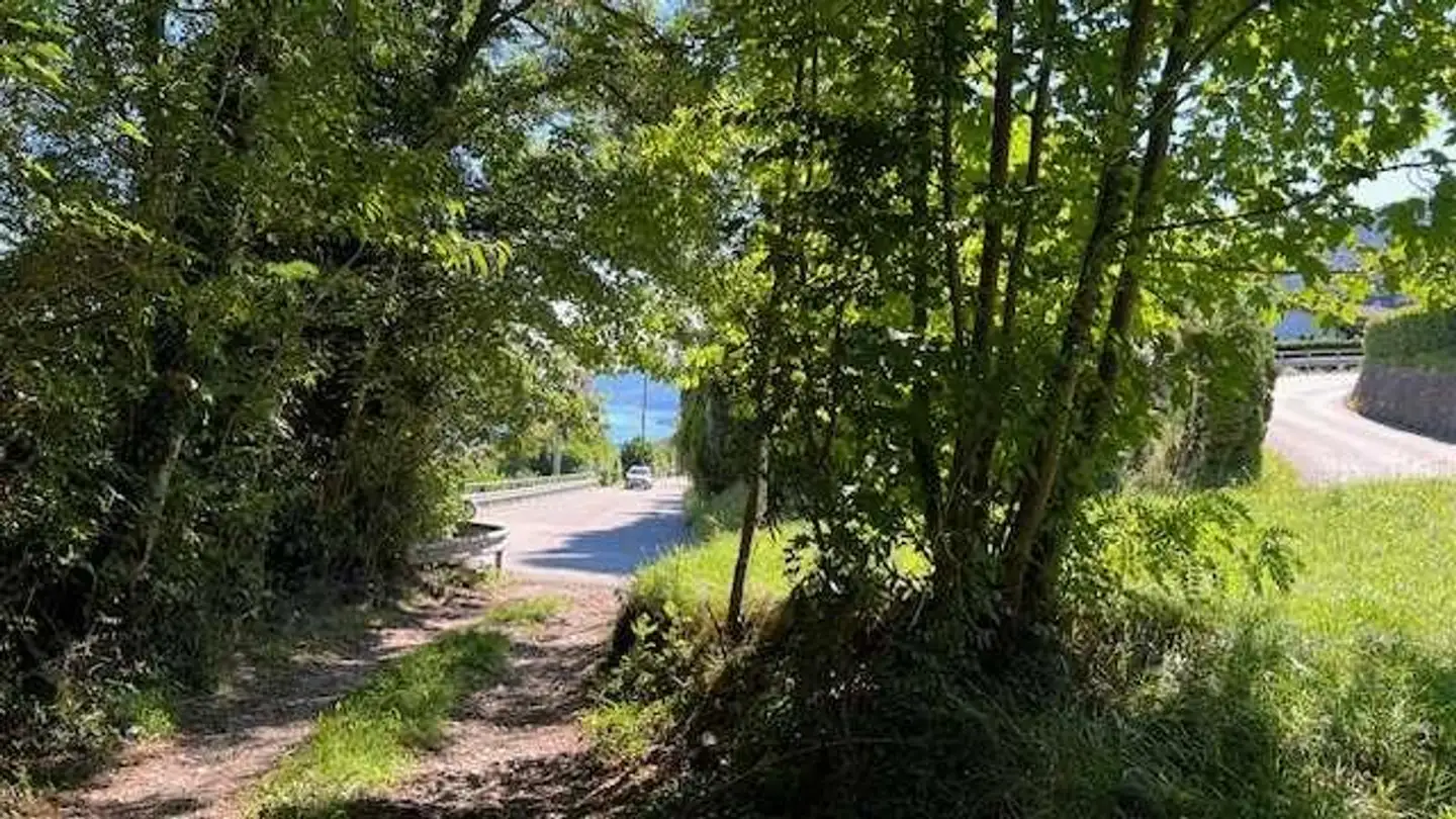 Constructible plot for sale - 6935 Bosco Luganese - Photo 3