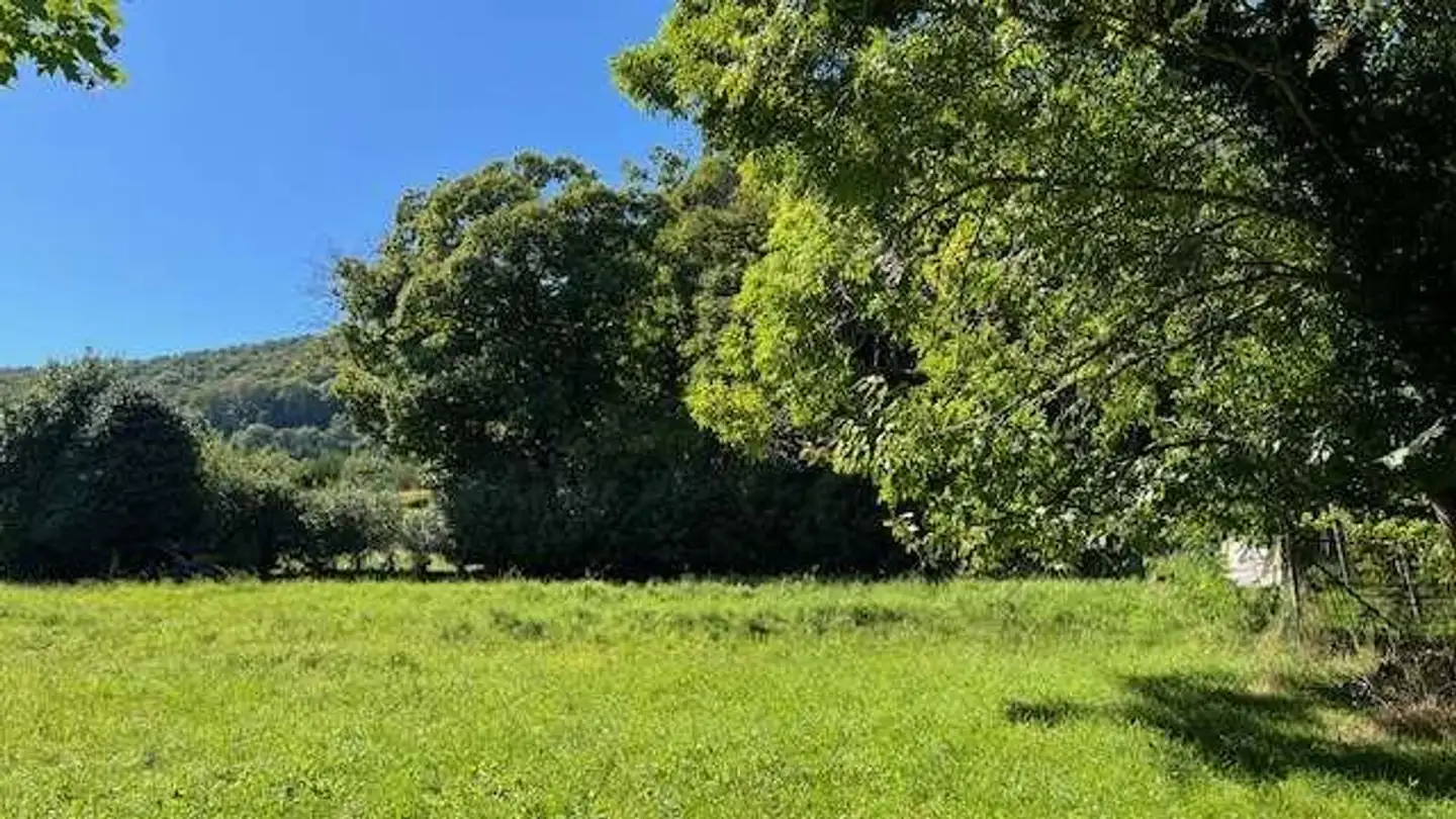 Constructible plot for sale - 6935 Bosco Luganese - Photo 2