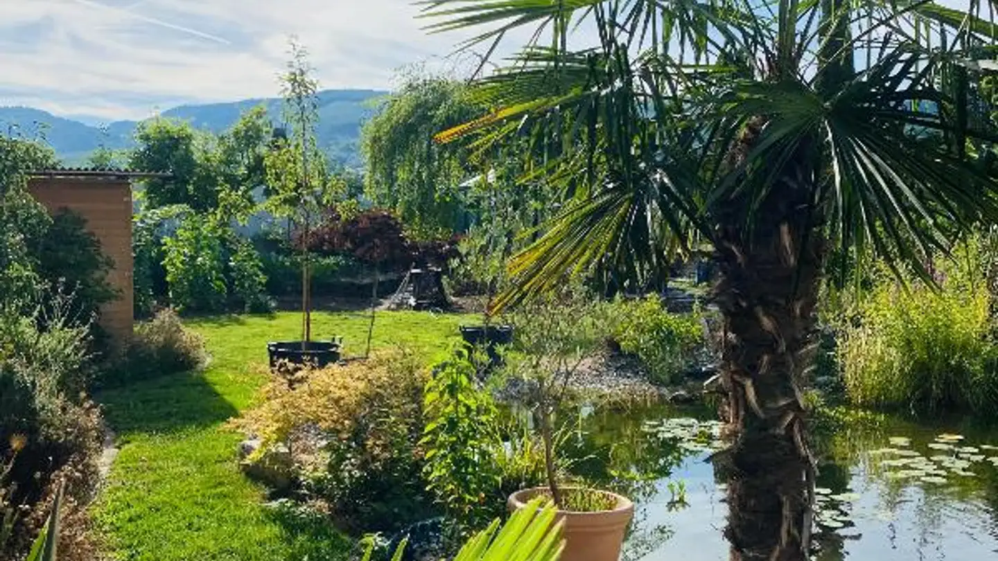 Casa singola in affitto - Hauptstrasse 156a, 4147 Aesch BL - Photo 2