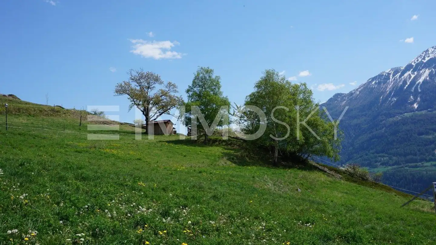 Apartment for sale - 3957 Erschmatt - Photo 4