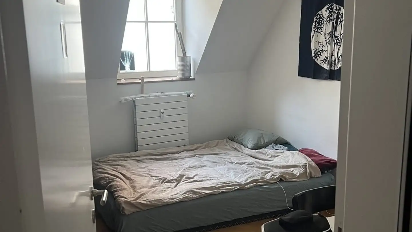 Chambre à louer - Freie Strasse 15, 4001 Basel