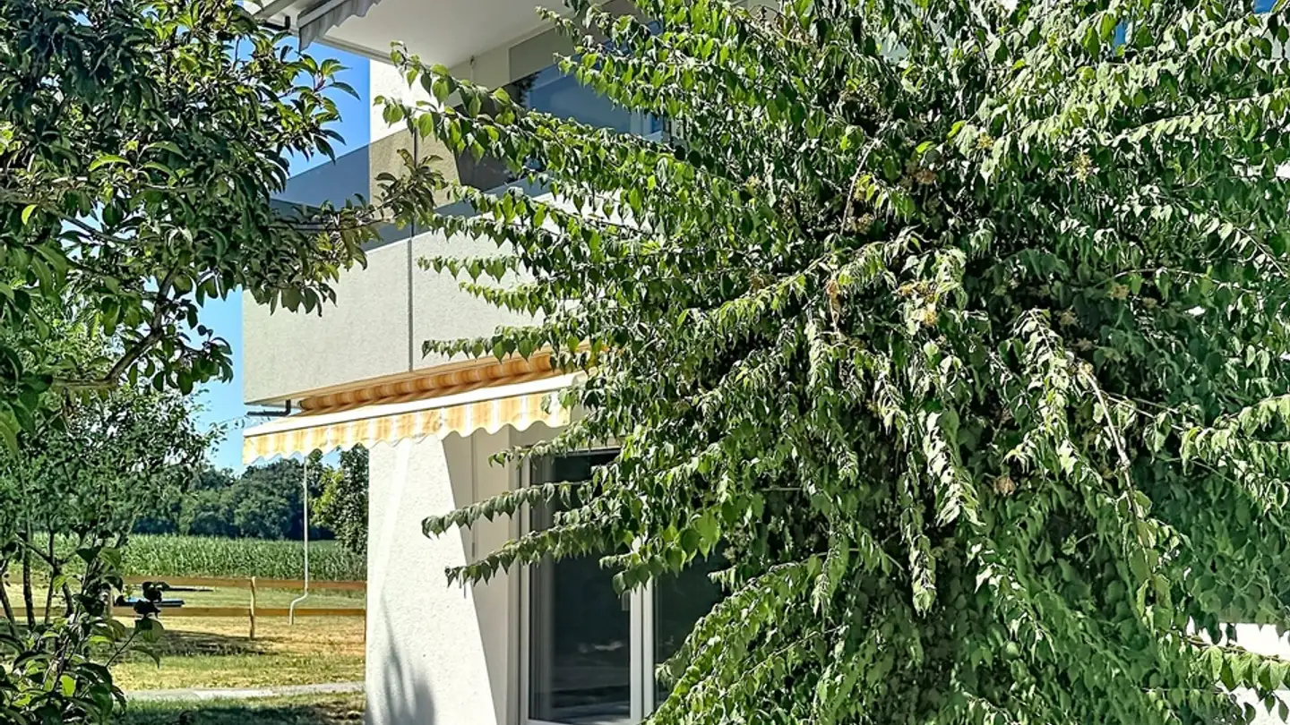 Wohnung kaufen - Mösli 5, 1792 Cordast - Foto 4
