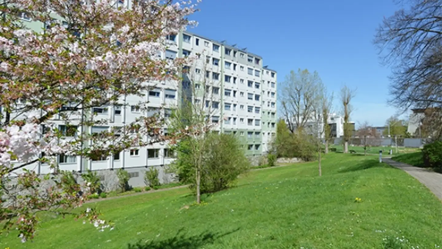 Appartamento in affitto - Müllerwis 27, 8606 Greifensee