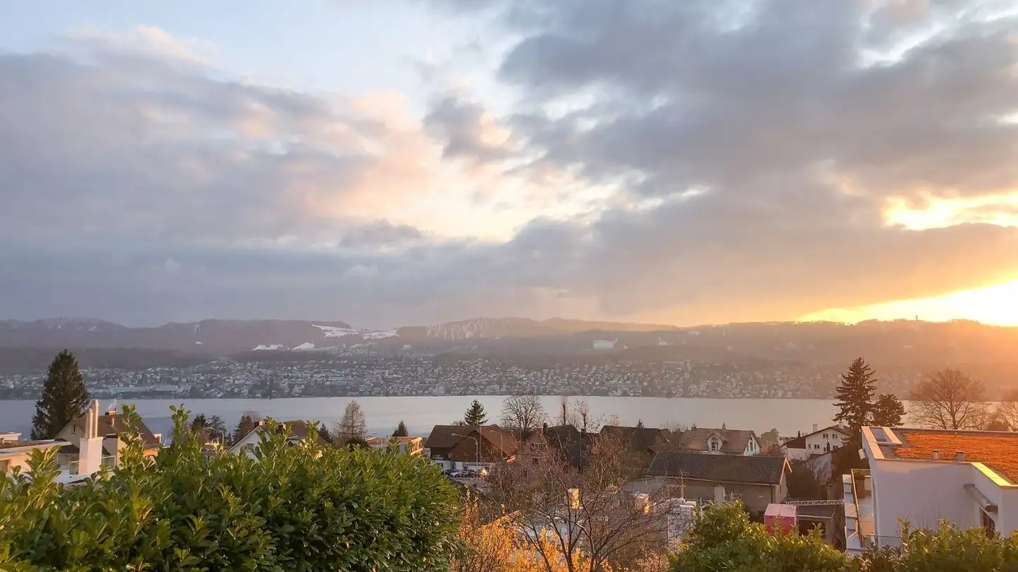 Duplex à louer - Lärchenweg 4, 8700 Küsnacht ZH
