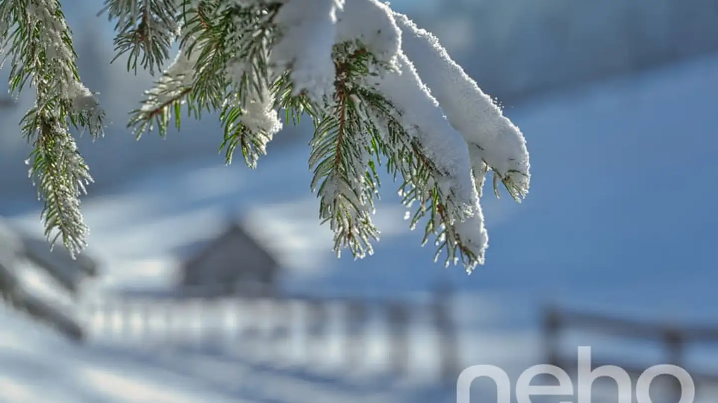 Terreno edificabile in vendita - Route Des Paccots, 1619 Les Paccots - Foto 2