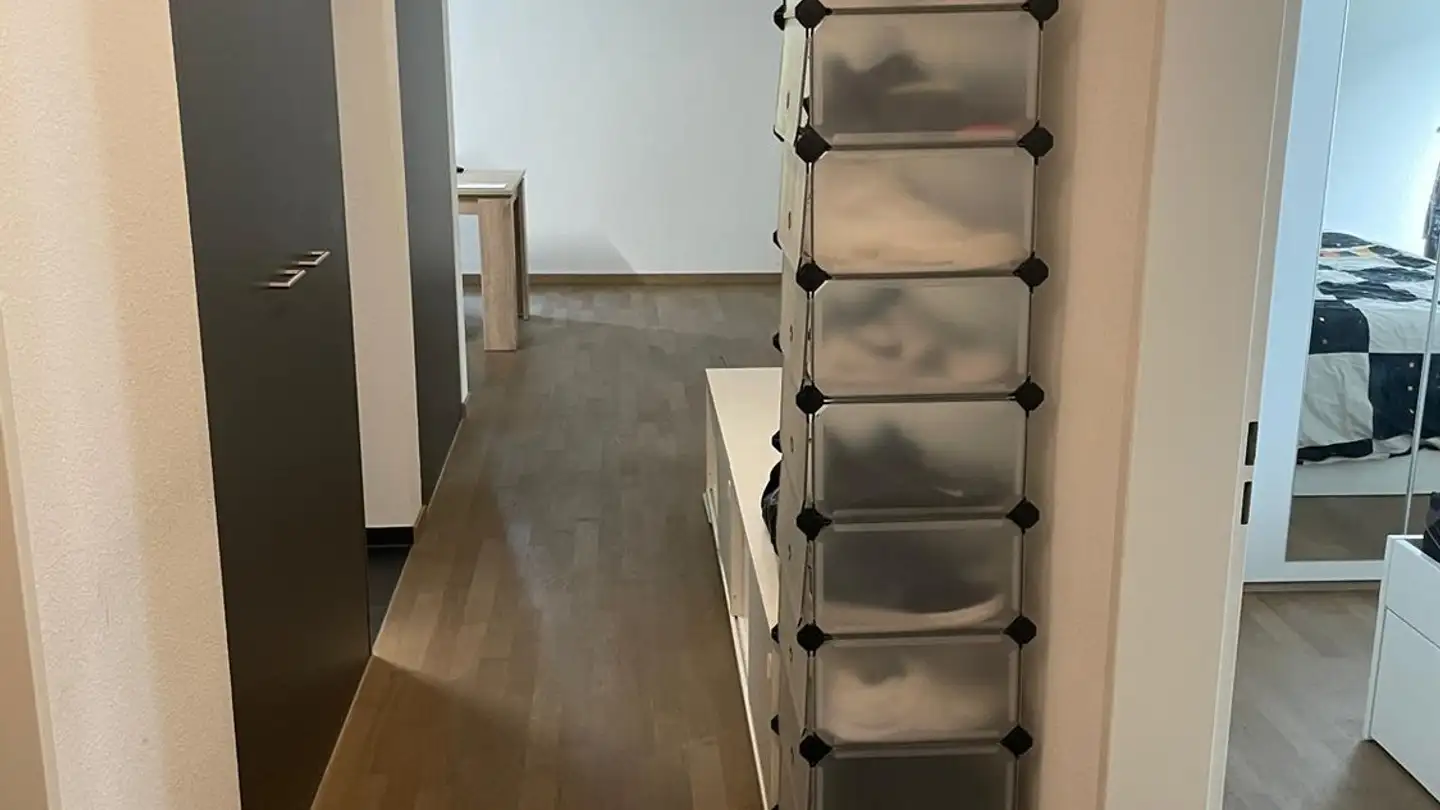 Appartement à louer - Pflugstrasse 20, 8952 Schlieren - Photo 2