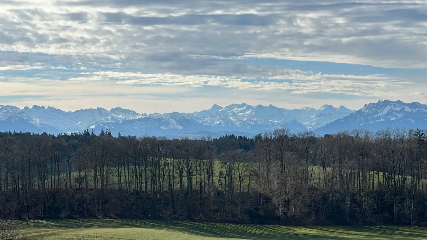 Appartement à louer - Im Weieracher 2a, 8914 Aeugst am Albis - Photo 2