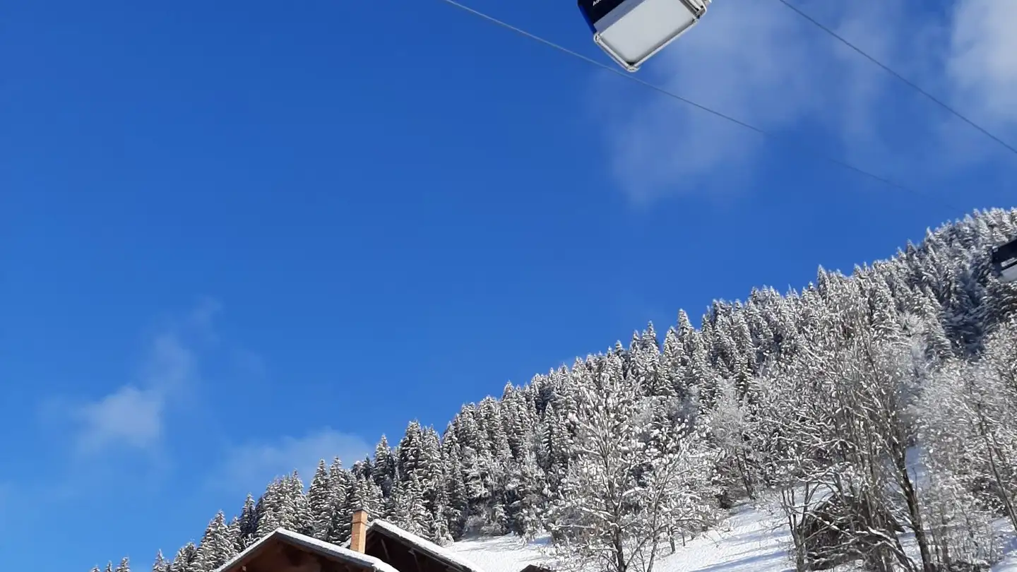 Wohnung mieten - 3775 Lenk im Simmental