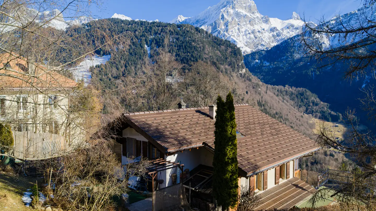 Chalet for sale - Chemin De La Bergerie 8, 1882 Gryon