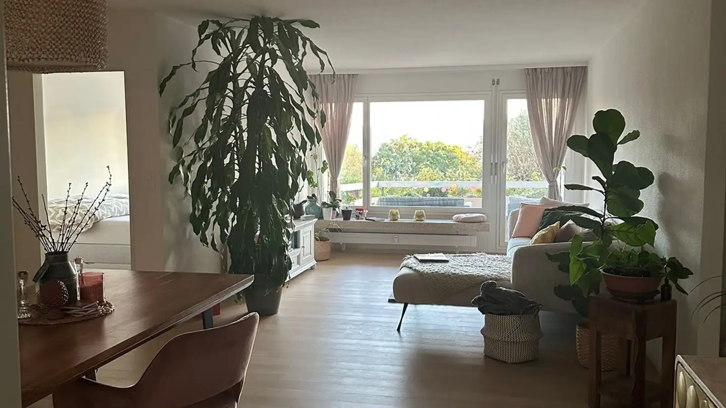 Wohnung mieten - Reinhold-Frei-Strasse, 8049 Zürich