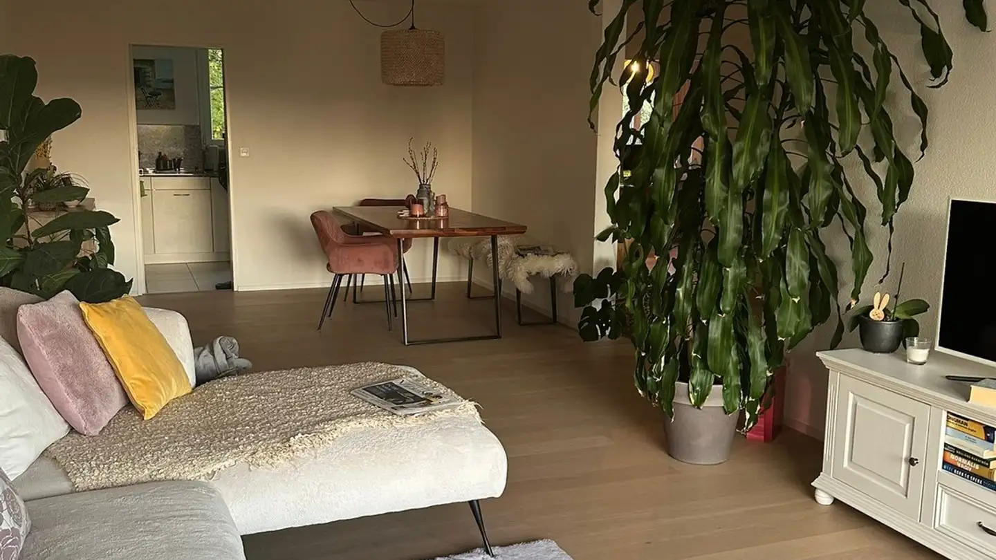 Wohnung mieten - Reinhold-Frei-Strasse, 8049 Zürich - Foto 2