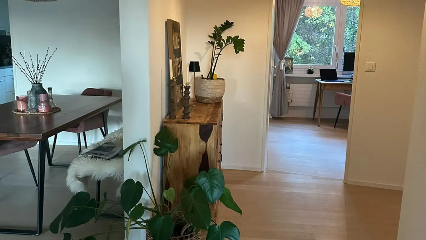 Wohnung mieten - Reinhold-Frei-Strasse, 8049 Zürich - Foto 3