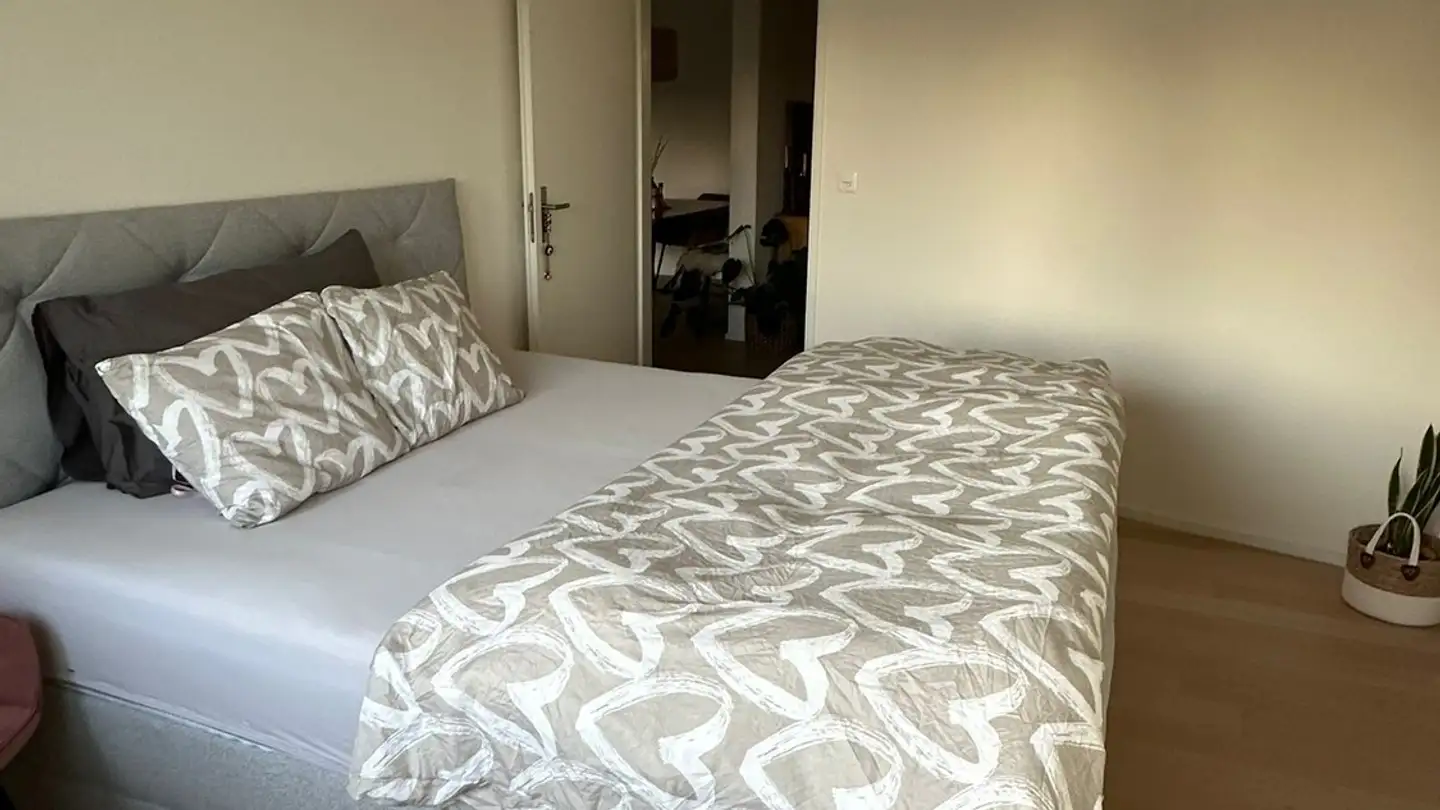 Wohnung mieten - Reinhold-Frei-Strasse, 8049 Zürich - Foto 4