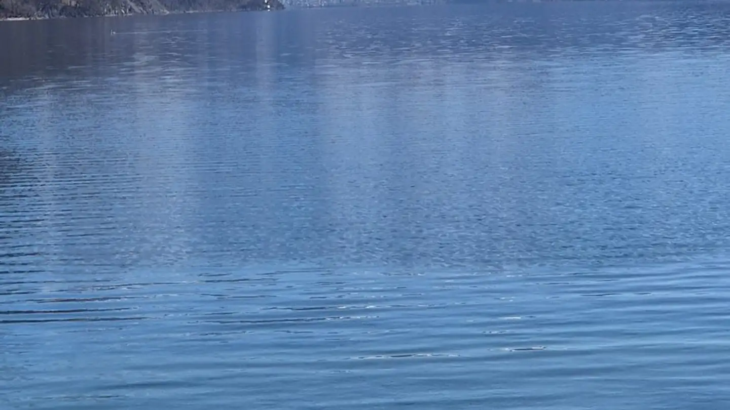 Duplex for sale - Steingüetlistrasse, 8872 Weesen - Photo 4