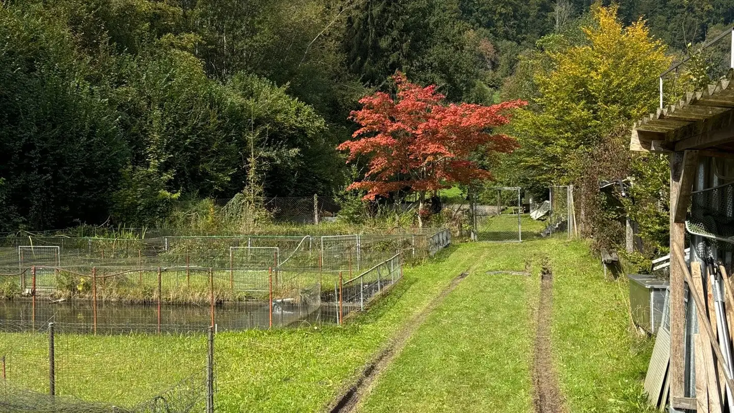 Single house for sale - 5722 Gränichen - Photo 2