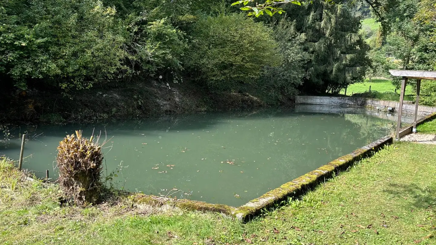 Single house for sale - 5722 Gränichen - Photo 4