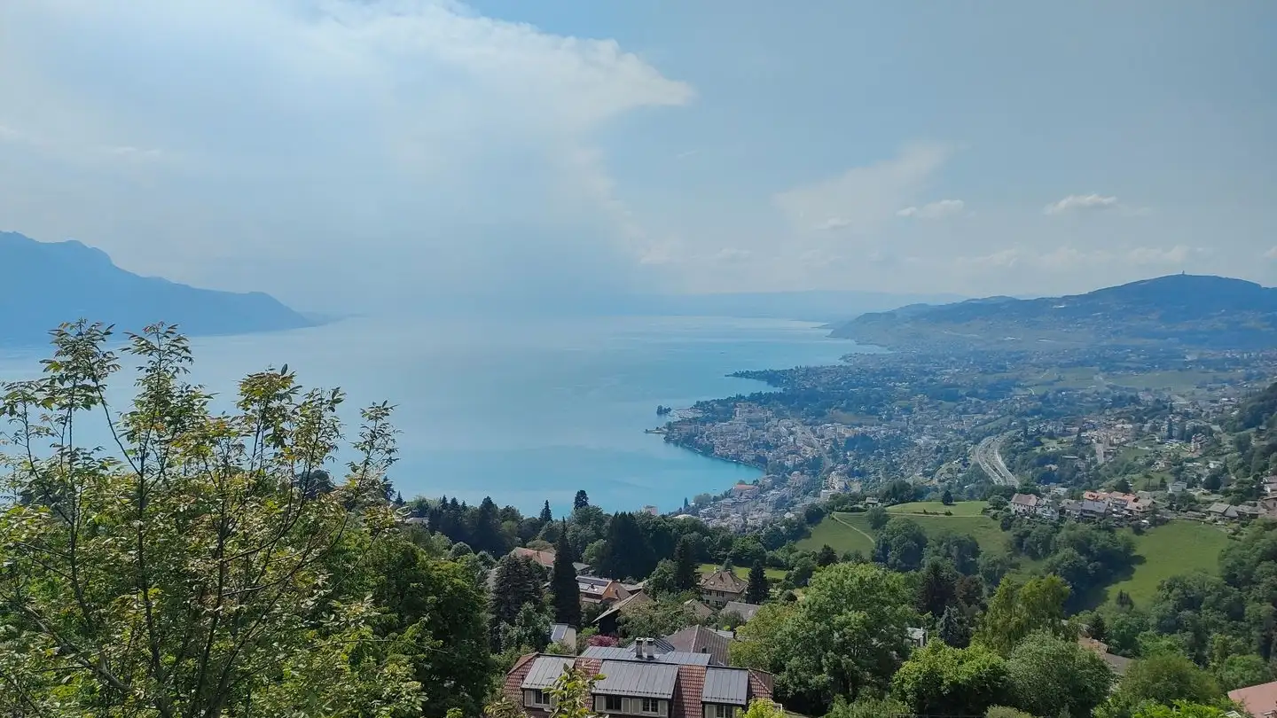 Terrain constructible à vendre - 1823 Glion - Photo 2