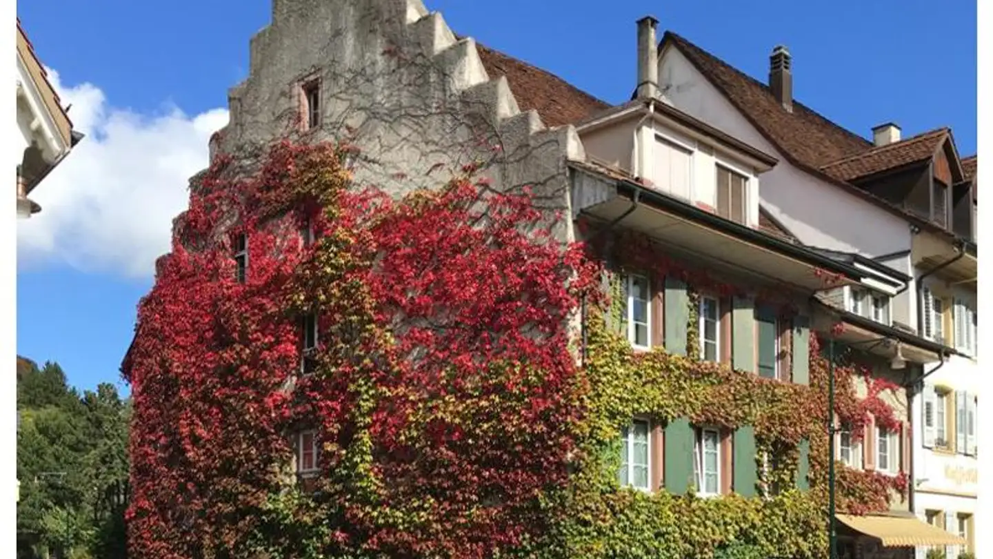 Residential building for sale - Bohnygasse 22, 4460 Gelterkinden