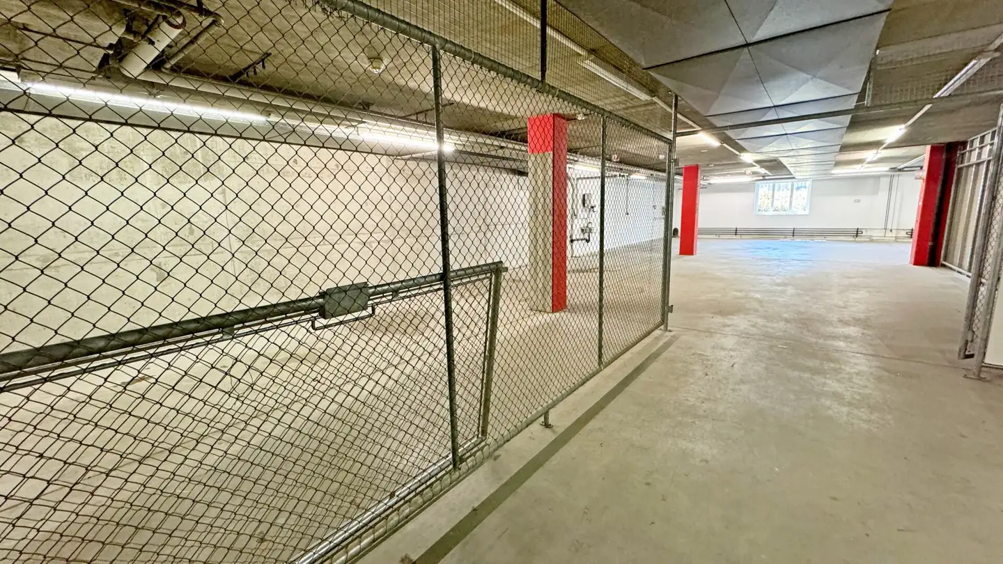 Storage space for rent - Pfeffingerring, 4147 Aesch BL - Photo 3