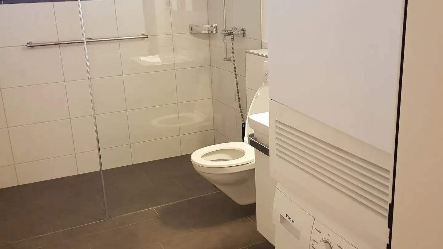 Apartment for rent - Botzengasse 1, 8416 Flaach - Photo 4