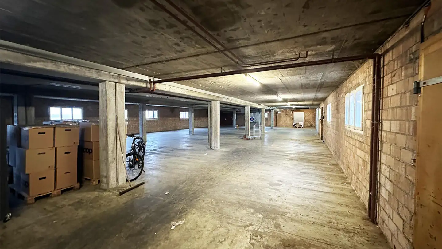 Commercial à louer - Alte Kappelerstrasse 21, 6340 Baar