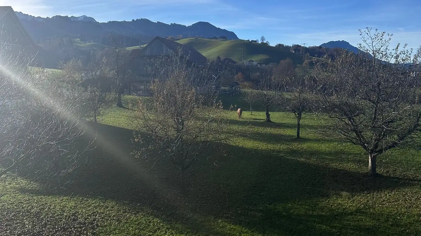 Apartment for rent - Neuhusweg 2, 6162 Entlebuch - Photo 4