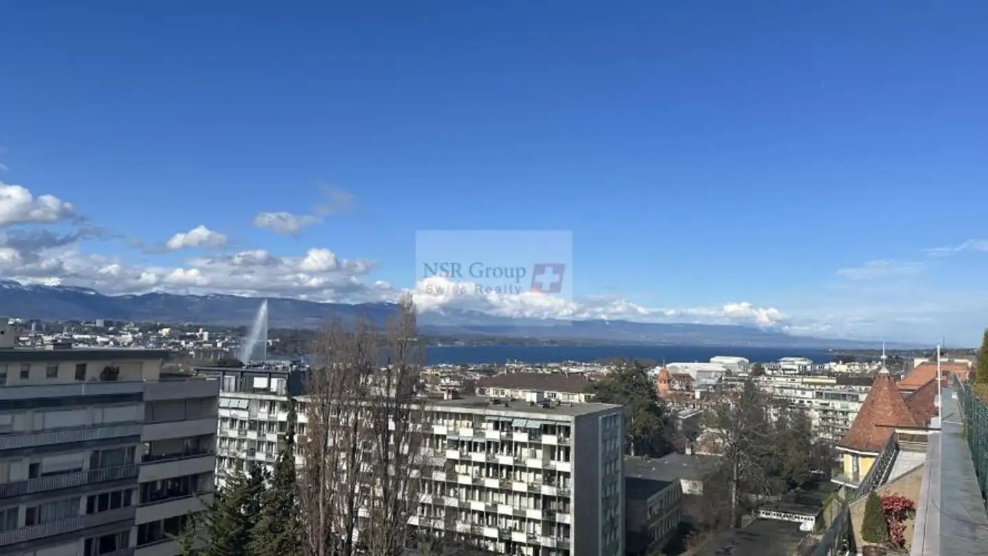 Appartamento in affitto - Route de Malagnou 40, 1208 Genève