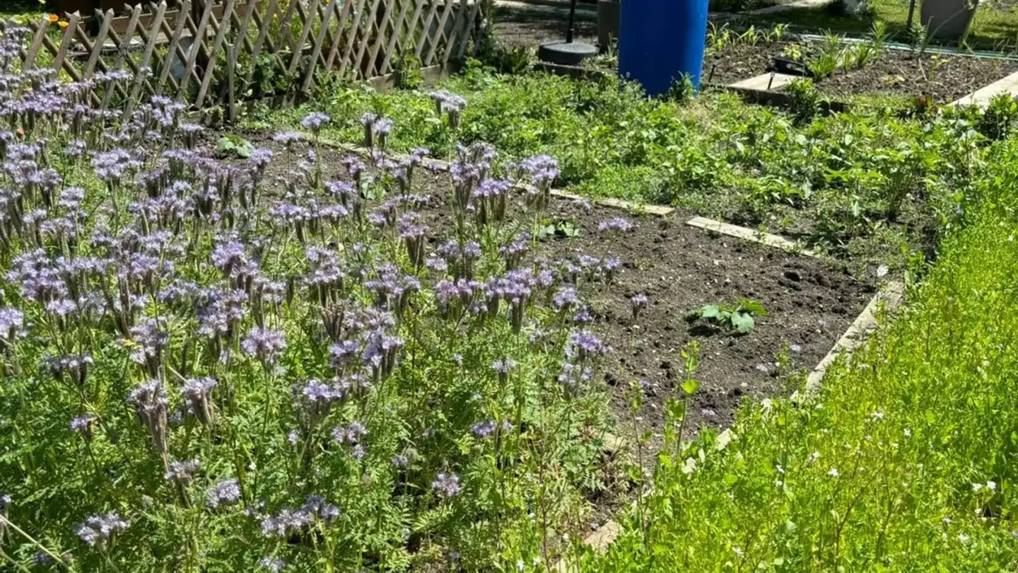 Apartment for rent - Vulkanstrasse, 8048 Zürich - Photo 2