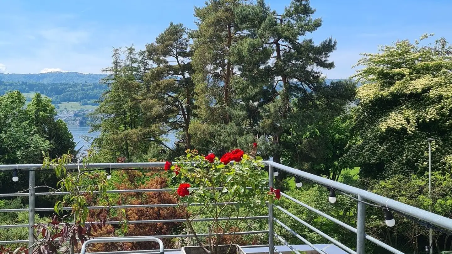 Appartement à louer - 8706 Meilen - Photo 4